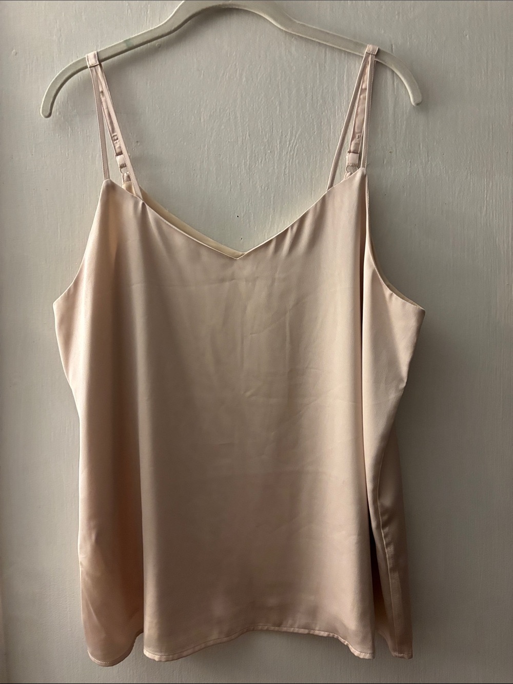 Skies Are Blue Nude Pink Satin Camisole